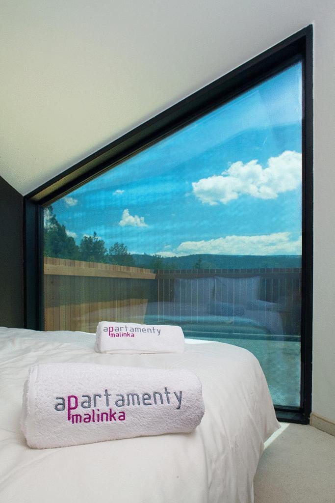 Apartamenty Malinka Wisła Extérieur photo